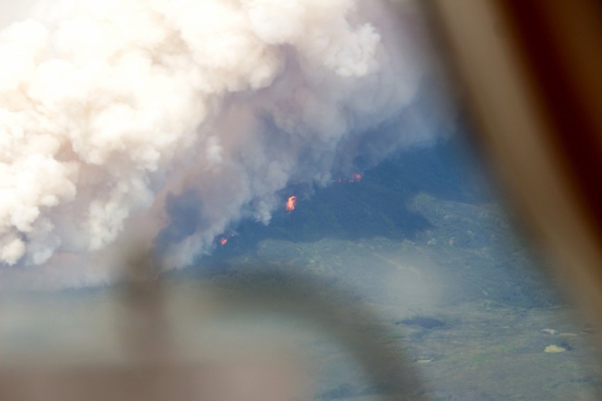 IMG_0756 (1024x682).jpg