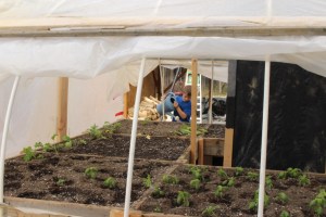 Jared flexed his muscles and did almost all the watering