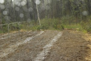 God finished the watering for us today.