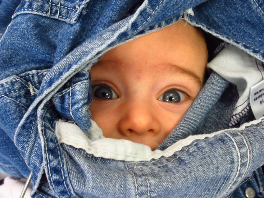 IMG_2329 - Copy (1024x768)