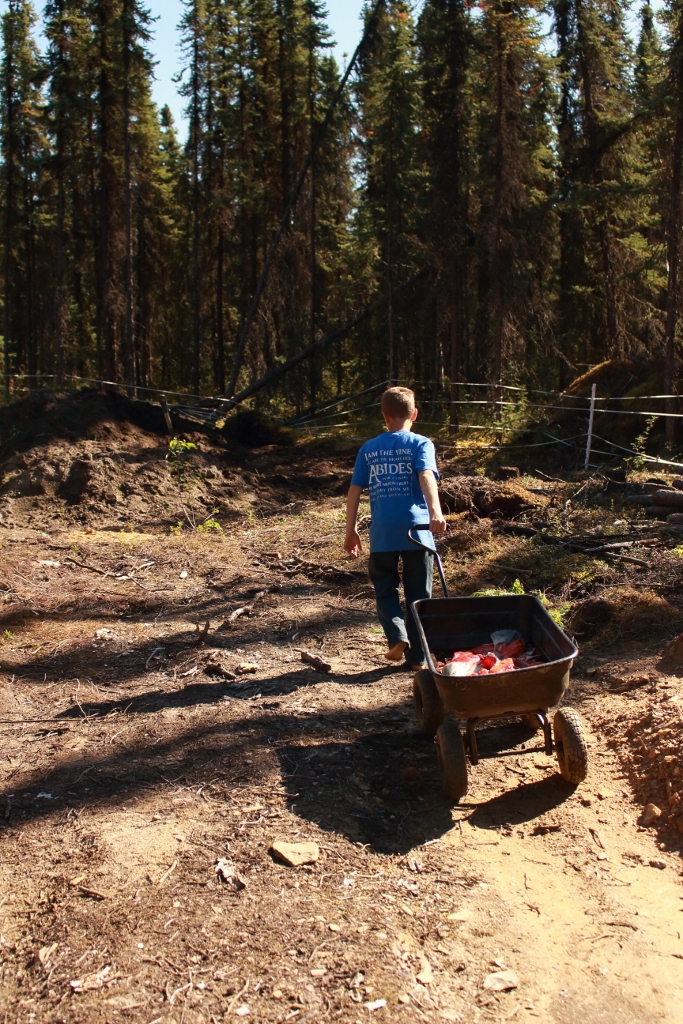 Headed up the hill to the new garden plot