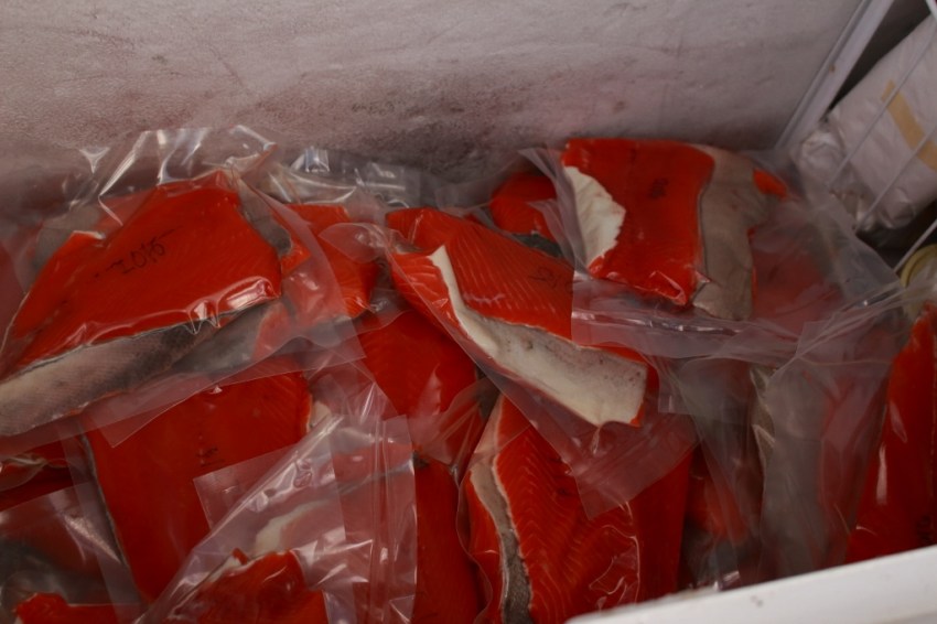 Thankful for this view of the freezer