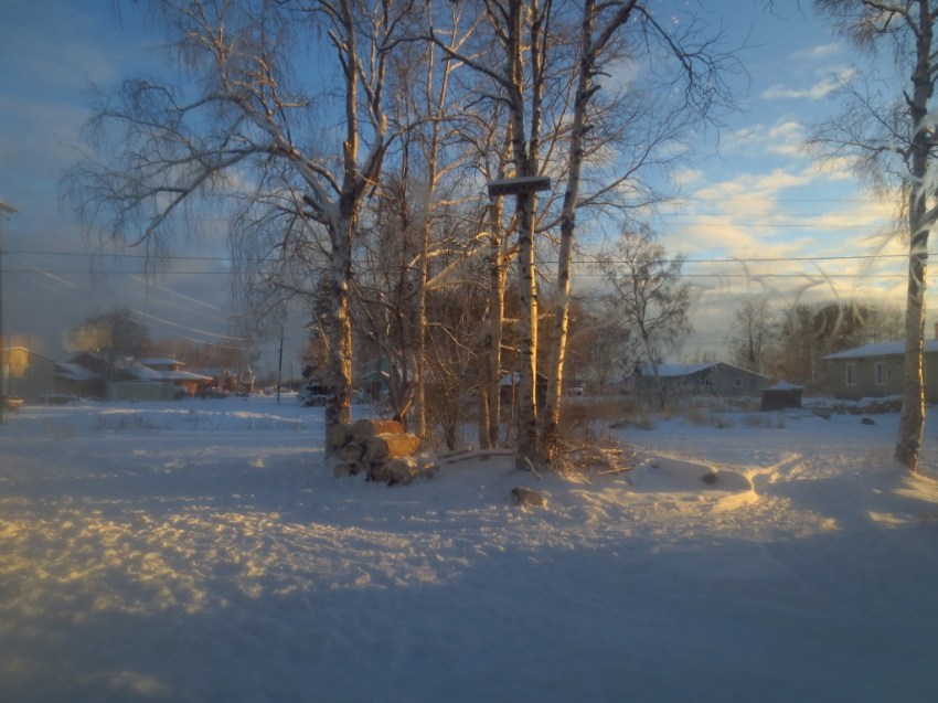 Perfect weather to tackle a half cord of wood